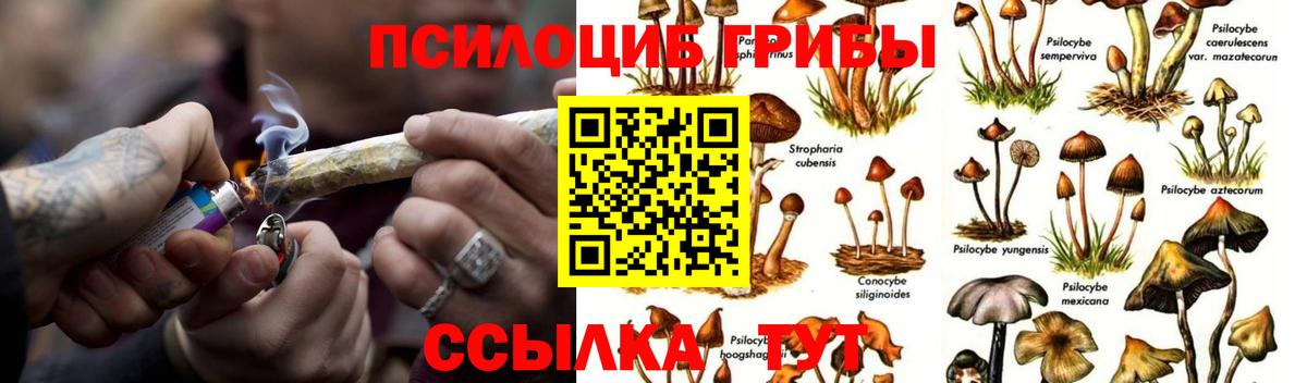 Псилоцибиновые грибы MAGIC MUSHROOMS Иркутск